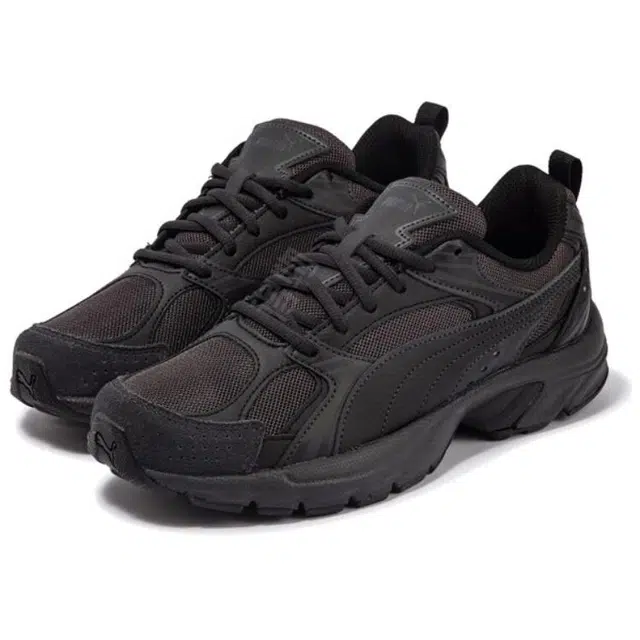 PUMA Milenio