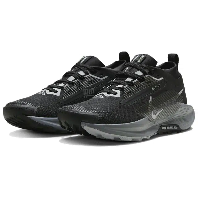 Nike Pegasus Trail 5