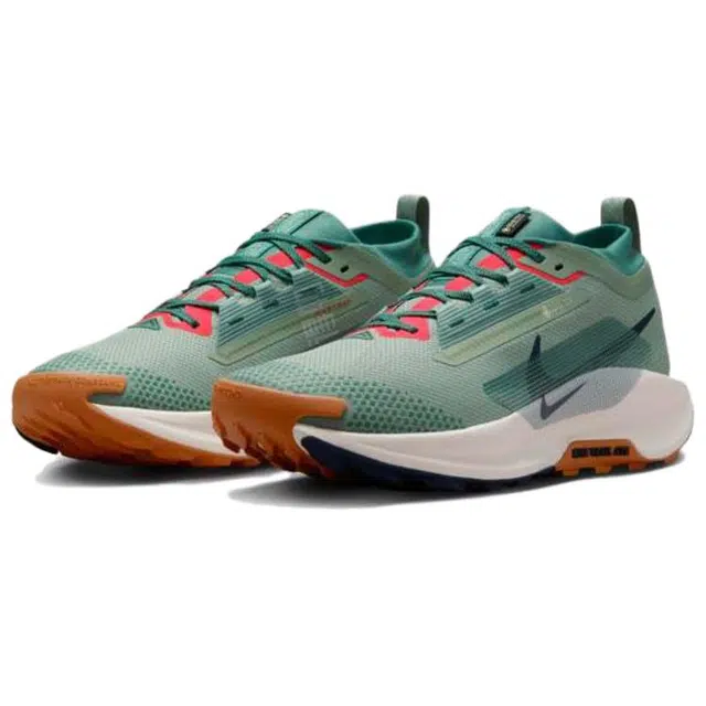 Nike Pegasus Trail 5