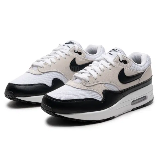 Nike Air Max 1