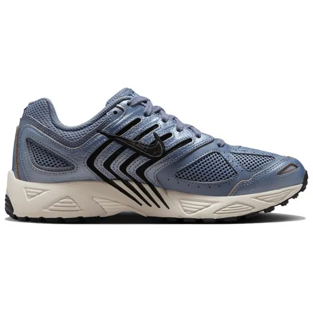 Nike Air Pegasus 2005