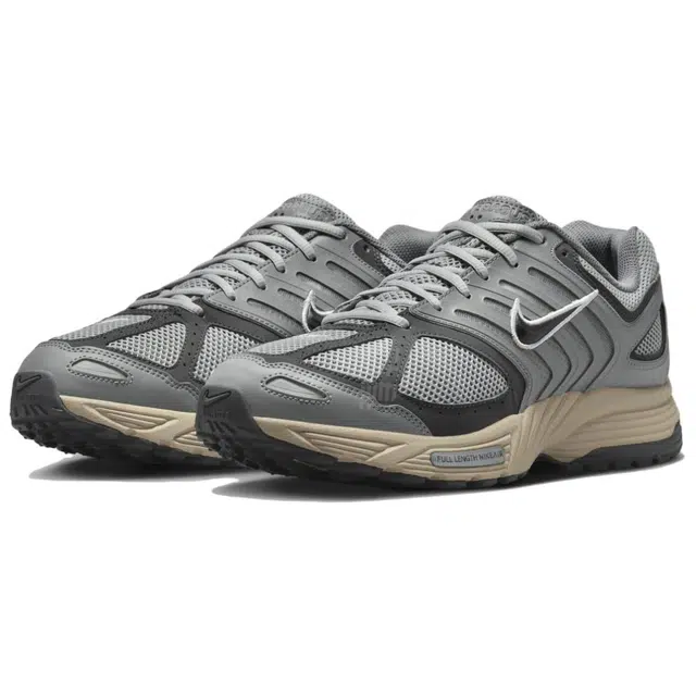 Nike Air Pegasus 2005