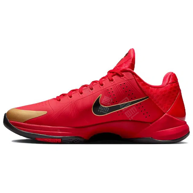 Nike Kobe 5 Protro Year of the Mamba