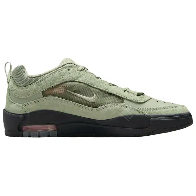 Nike Air Max Ishod SB