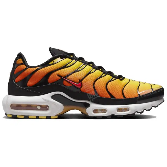 Nike Air Max Plus