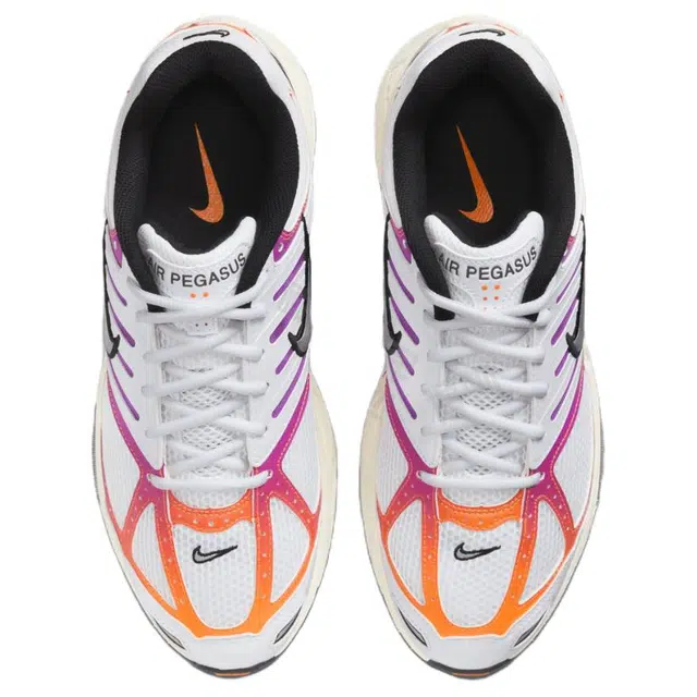Nike Air Pegasus 2005