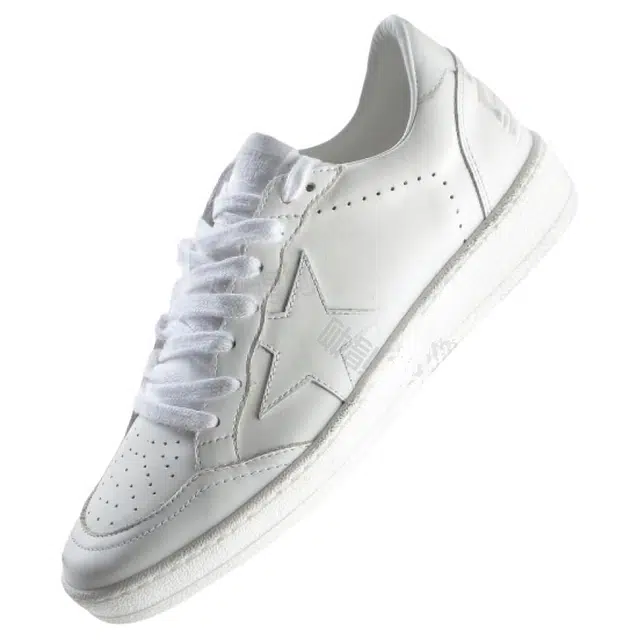 Golden Goose