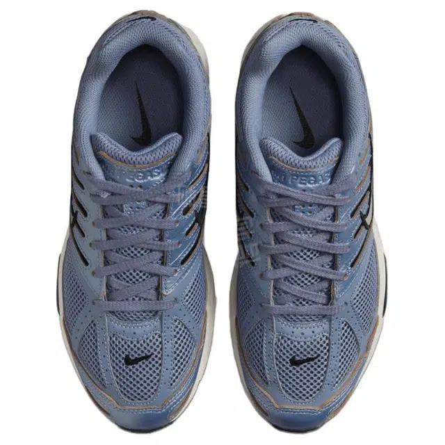 Nike Air Pegasus 2005