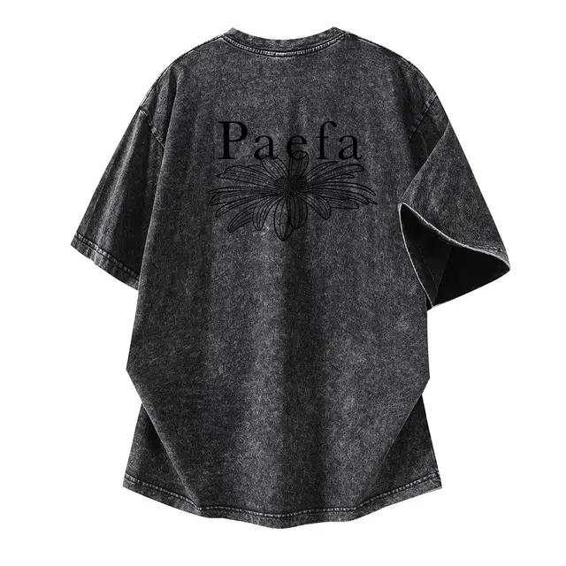 PAEFA logoT