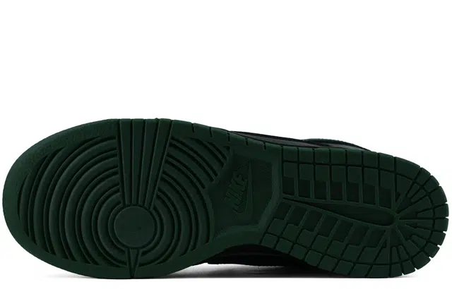Nike Dunk Low Retro GS vibe