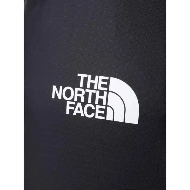 THE NORTH FACE 20L