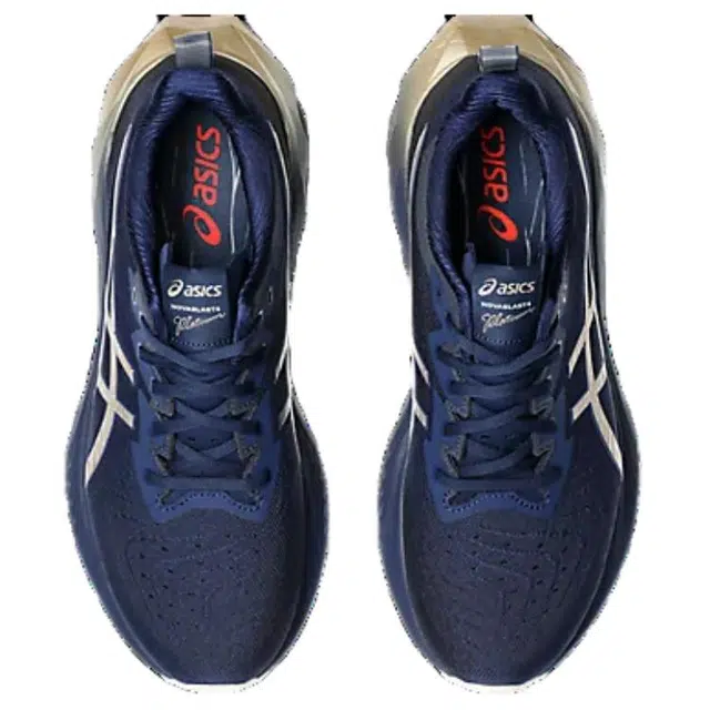 Asics Novablast 4 PLATINUM