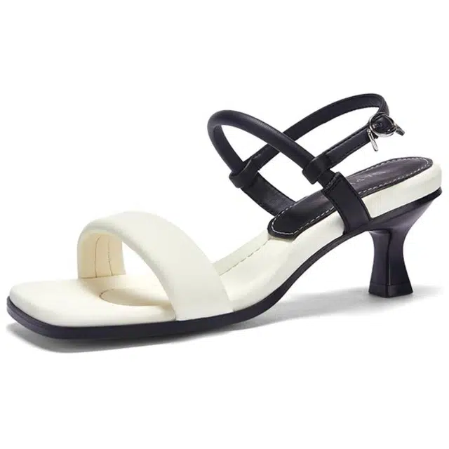 DAPHNE PU 6.5cm