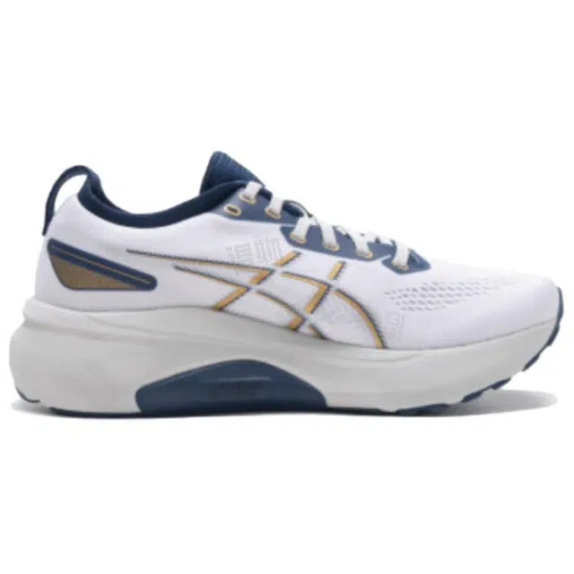 Asics Gel-Kayano 31