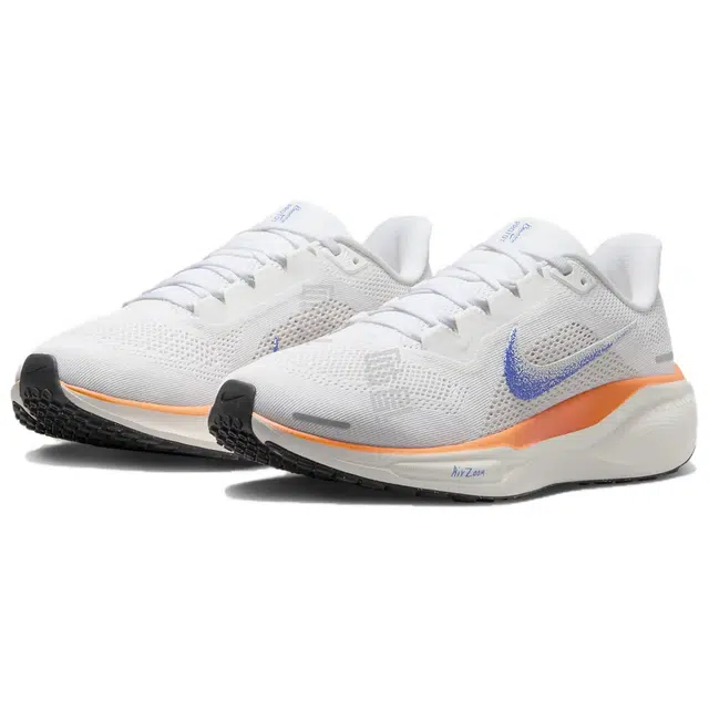 Nike Pegasus 41 Blueprint