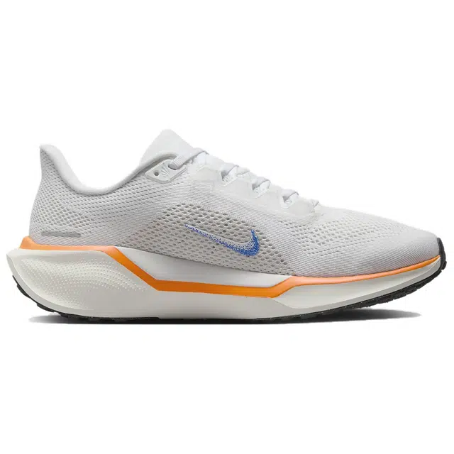 Nike Pegasus 41 Blueprint