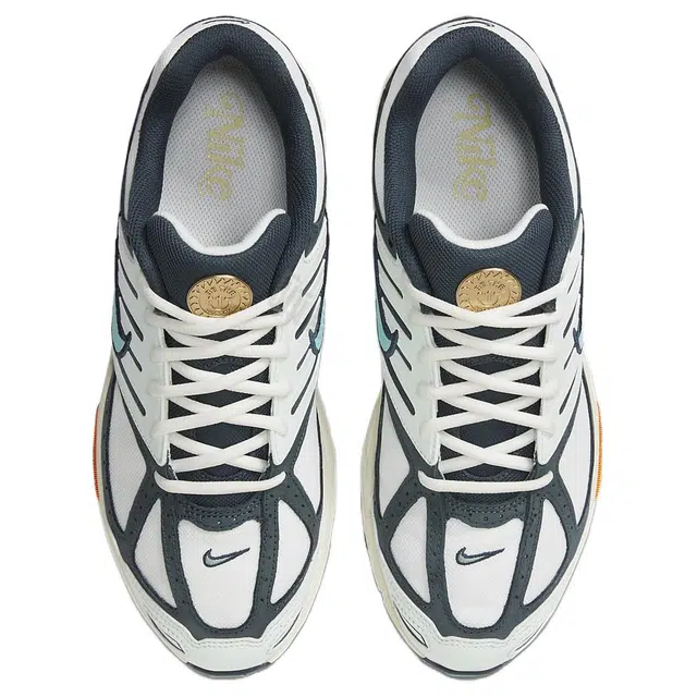 Nike Air Pegasus 2005