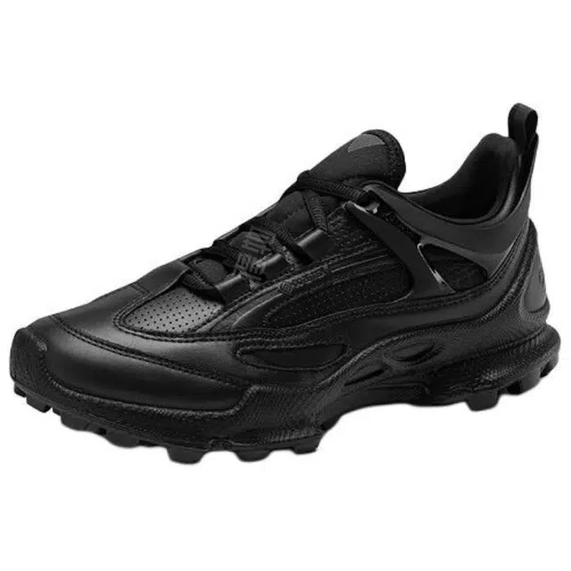 ecco Biom C Trail