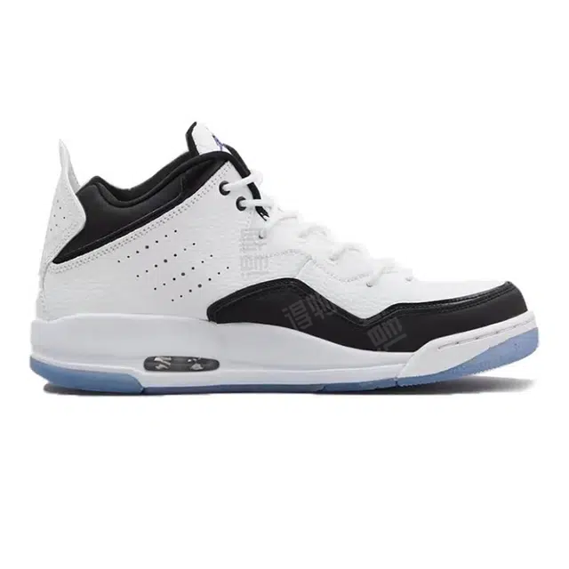 Jordan Courtside 23 Concord SHiK