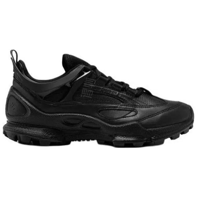 ecco Biom C Trail