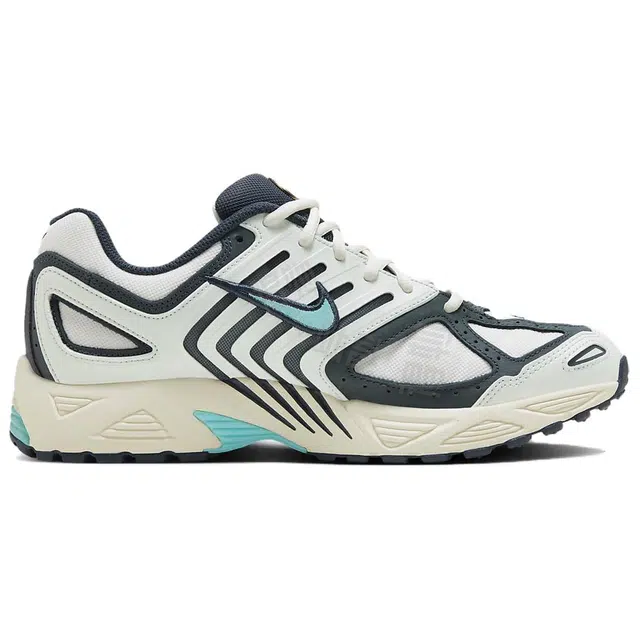 Nike Air Pegasus 2005