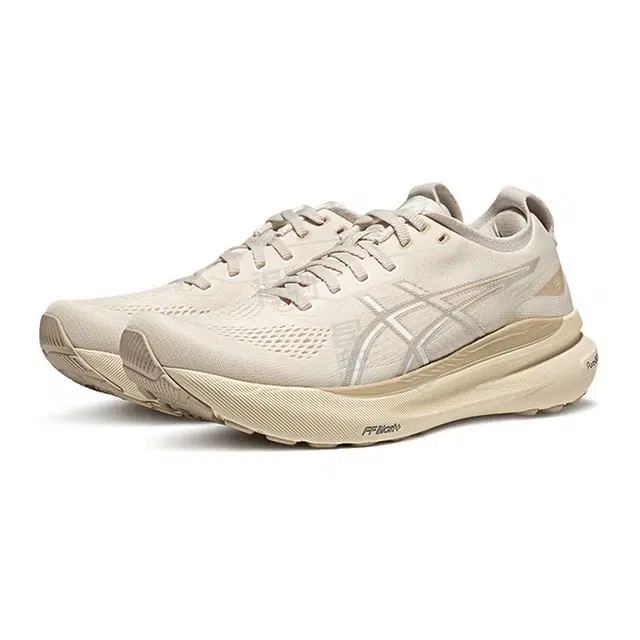 Asics Gel-Kayano 31