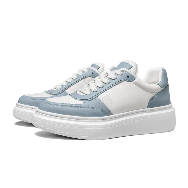THOM WILLS trainer