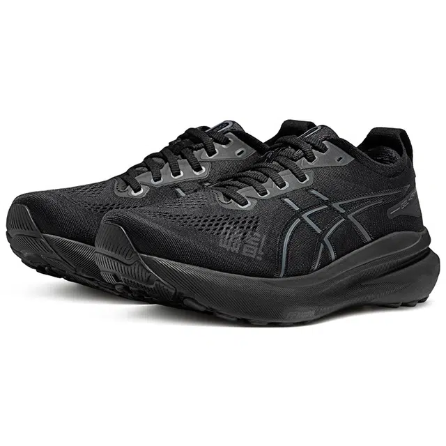 Asics Gel-Kayano 31