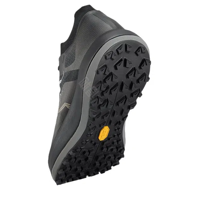 Arcteryx SYLAN PRO