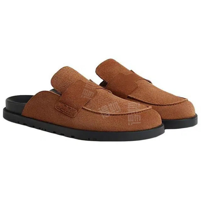 HERMES Go