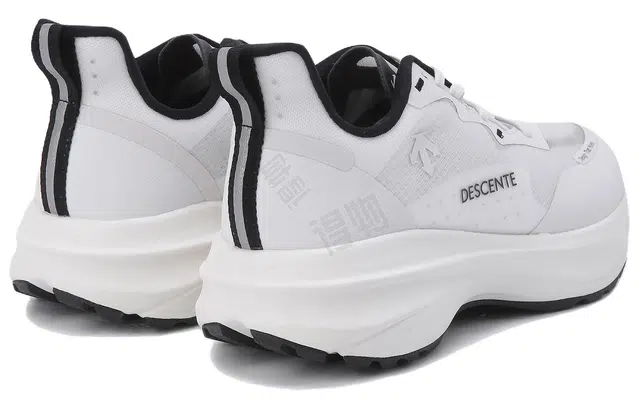 DESCENTE