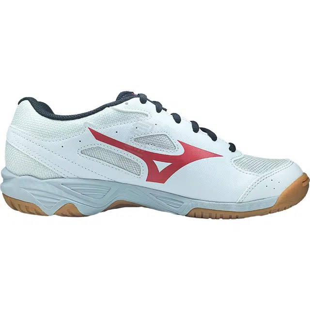 Mizuno