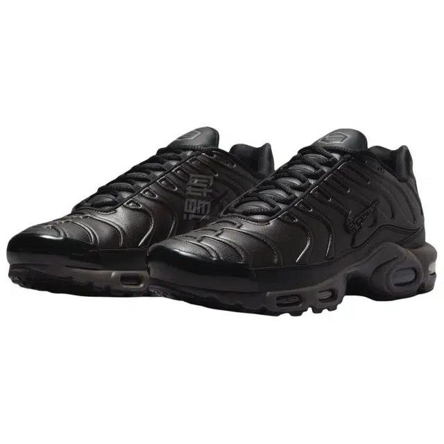 Nike Air Max Plus BLACK TEA