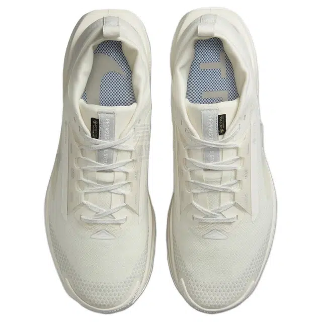 Nike Pegasus Trail 5