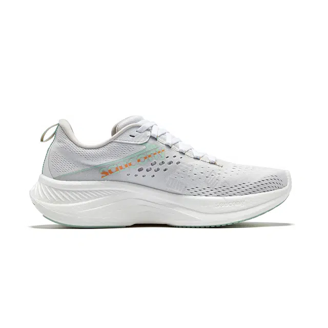 Saucony RIDE 17