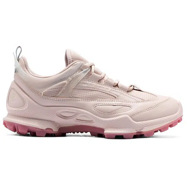 ecco Biom C Trail