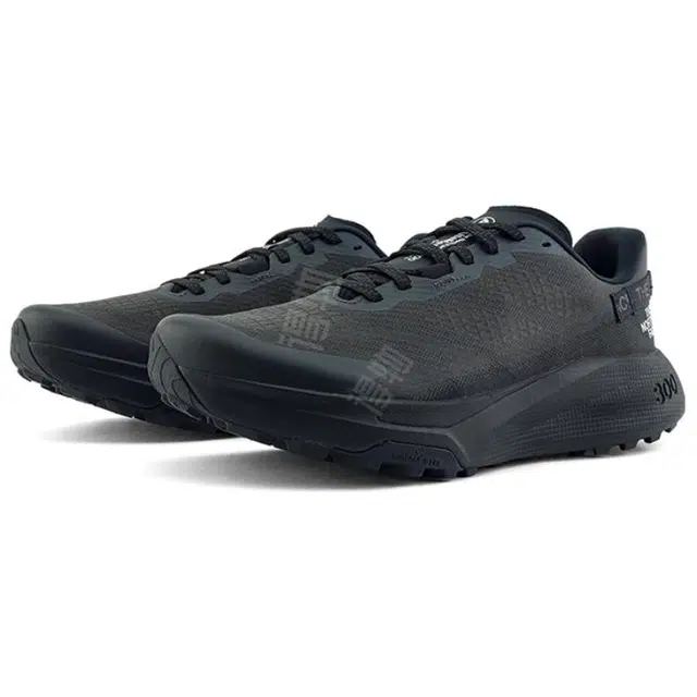 THE NORTH FACE Altamesa 300