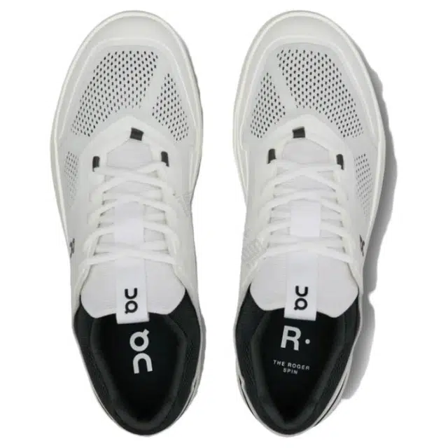 On THE ROGER Spin 2