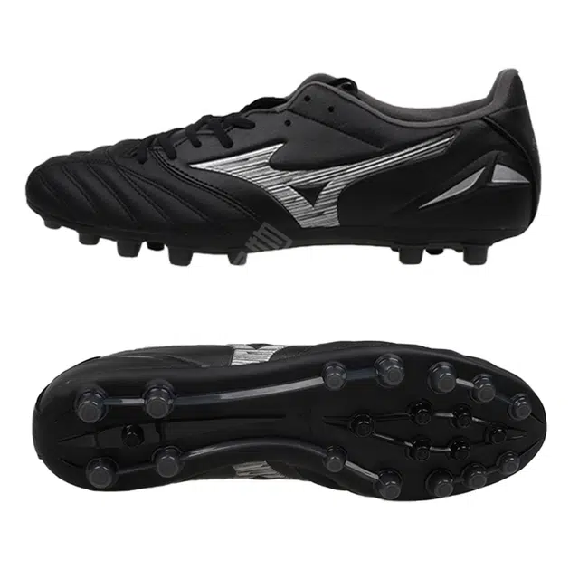 Mizuno