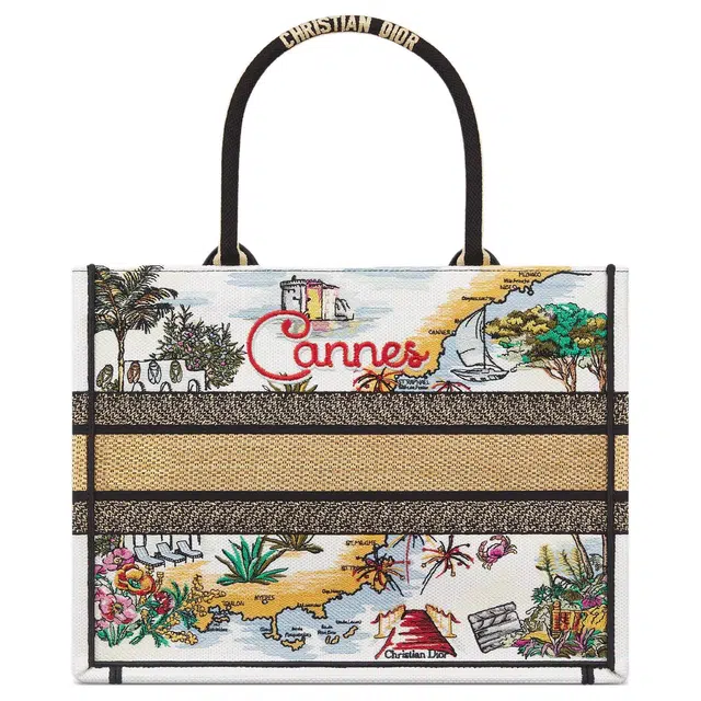 DIOR BookTote Tote