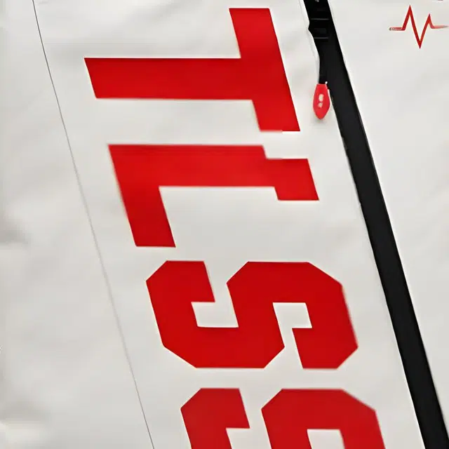 TLSS Logo PU