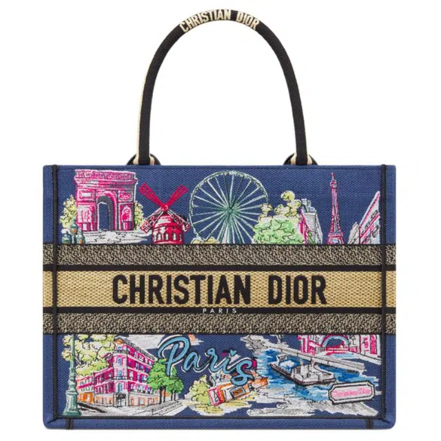 DIOR BookTote Tote