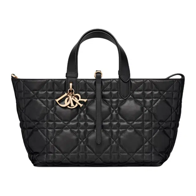 DIOR Toujours