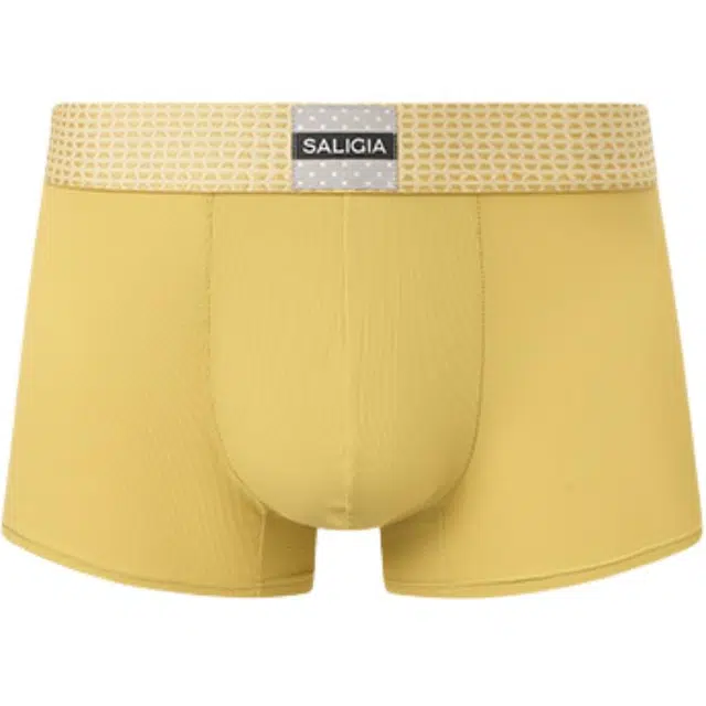 SALIGIA