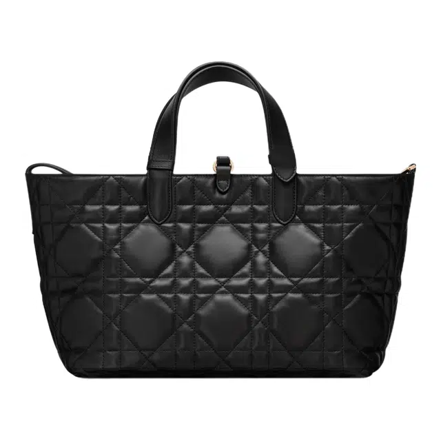 DIOR Toujours