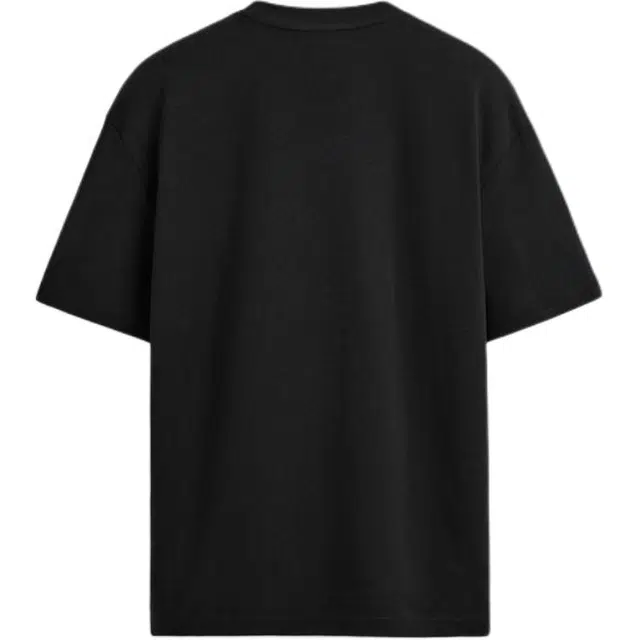ZARA T