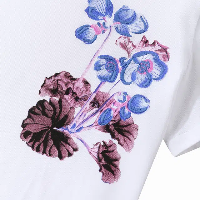 Desigual T