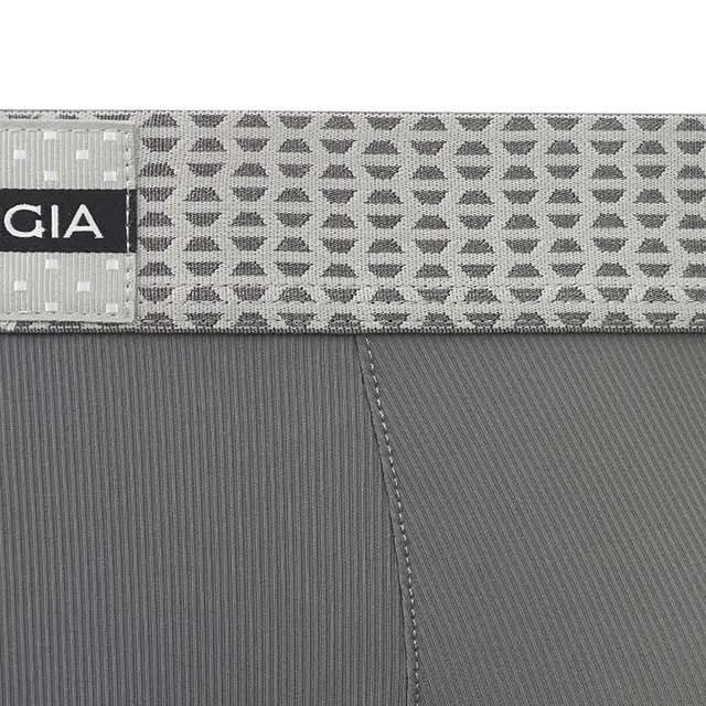 SALIGIA