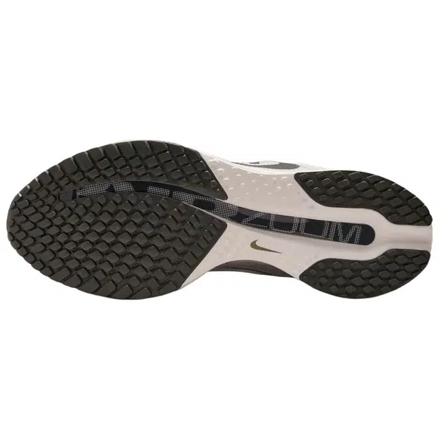 Nike Pegasus Premium Run