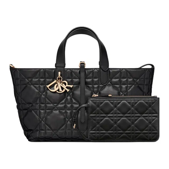 DIOR Toujours
